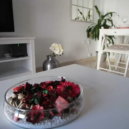 Patios De San Andres *